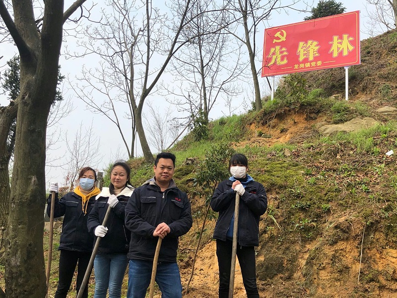 華龍公司開展植樹活動(dòng) 為大自然添新綠