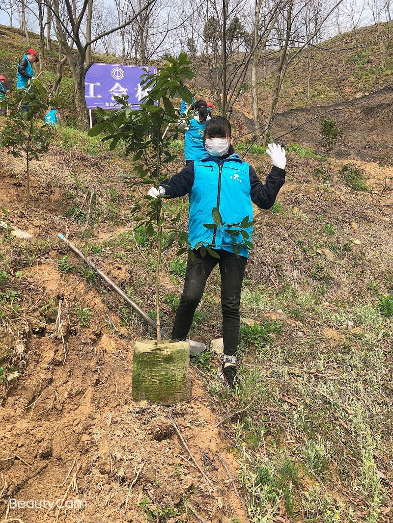 華龍公司開展植樹活動(dòng) 為大自然添新綠