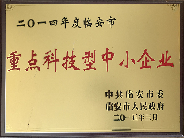2014年度重點科技型中小企業(yè)-華龍摩擦